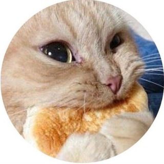 ЛЕНИВАЯ ХОЗЯЙКА