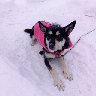 Проект АСТРА