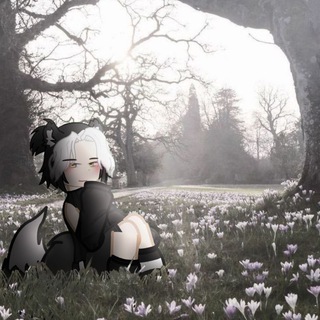 ◃Лⲉⲥ Эⲗьⲫυⲕⲟⲃ!▹