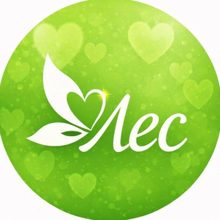 Жизнь в ЛесАрт