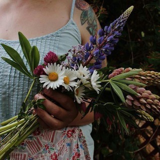 Родная Природа