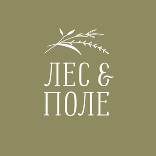 Мастерская «Лес и Поле», канал
