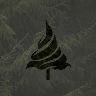 Лес, говно и палки