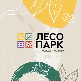 Лесопарк Рязань