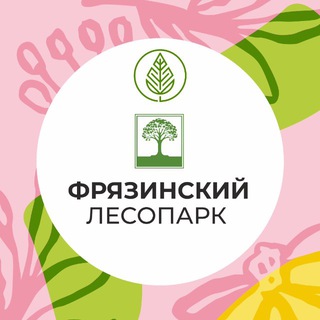 Фрязинский лесопарк