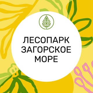 Лесопарк «Загорское море»
