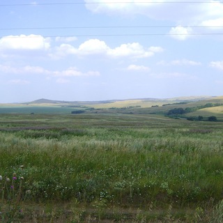 Лесостепняк