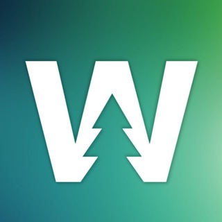 ЛесоWEEK | Новости лесопромышленного комплекса (ЛПК)