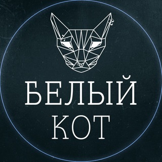 БЕЛЫЙ КОТ студия пирсинга Екатеринбург