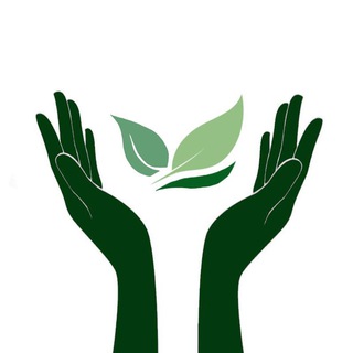 Ферма цветов | гортензии «Лети, лепесток!»