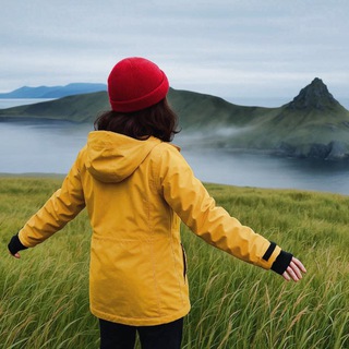 Садись, поехали