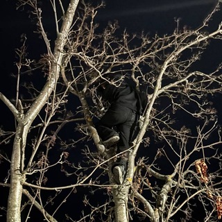 let's touch the stars?✨