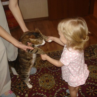 ⋆˚࿔ lexxa 𝜗𝜚˚⋆