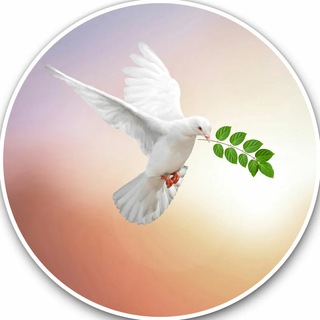 Уфа за демократию