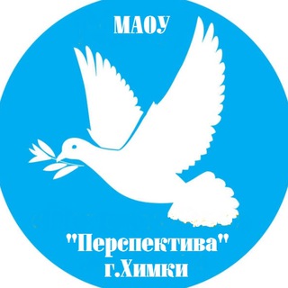 МАОУ "Перспектива" г.Химки