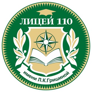 Лицей 110