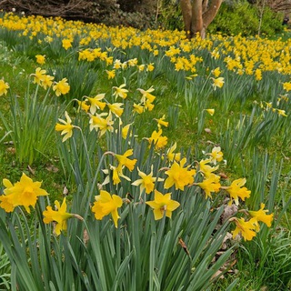 Lienna's news. Про Англію.