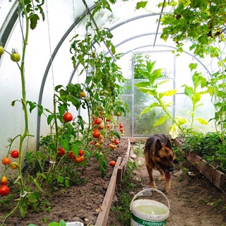 Жизнь на земле