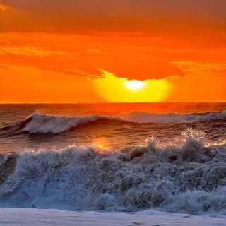 Golden Nutraceuticals