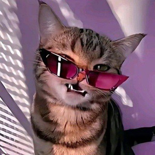 Life in English (16+)