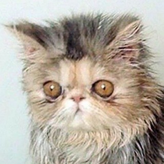 не баян, а классика 👌🏻