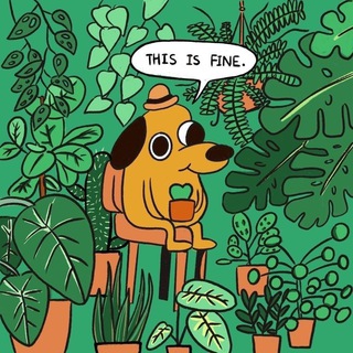 Бытие и мемы