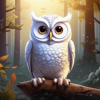 Сова | Советы