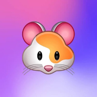 #HAMSTERLIFE🐹🍜💋