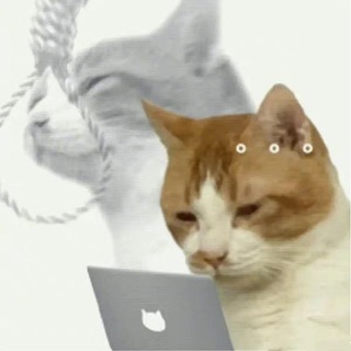 мой поехавший вечер