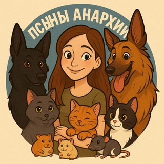 Псыны анархии | записки волонтёра