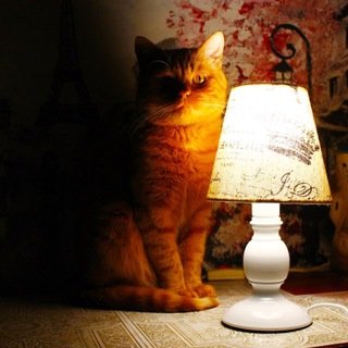 Жизненные истории