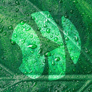 Медиа People ЖЮ