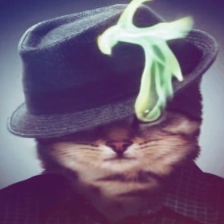 лайтмар | exynoss