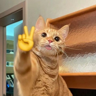 светлые темы тг ^^ light themes telegram