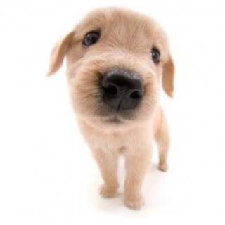 evdfgyu ໒꒱ིྀ༝⁺ | closed