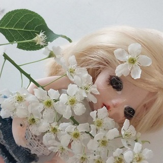 ꒰ ˚🌳⋆｡˚ⲉⲱⲕⲁ˚⋆｡🍙˚ ꒱