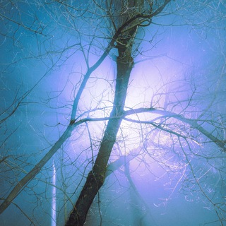 ограниченное издание