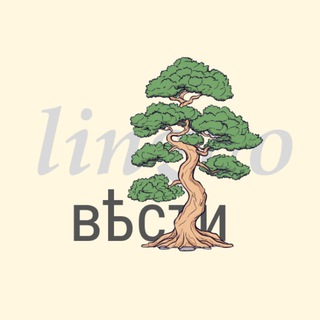 Лингвовести: языки и лингвистика