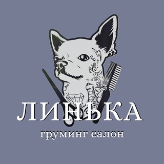 Груминг салон ЛИНЬКА Куркино / Химки
