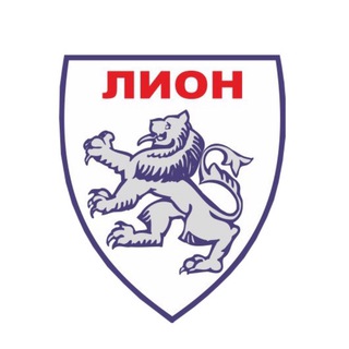 Лион - сеть продуктовых магазинов