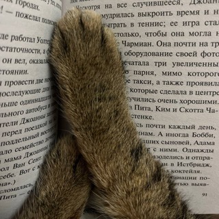 Книжные заметки львицы