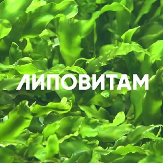 Липовитам 🔆