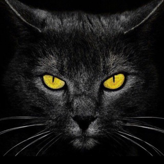 Недобрый психолог