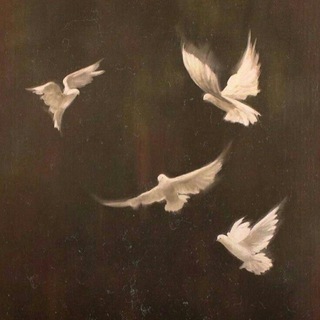 Сон в летнюю ночь