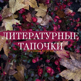 литературные тапочки