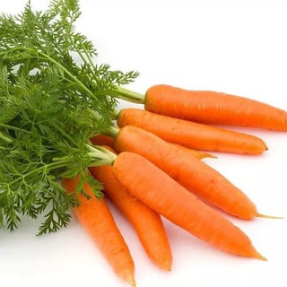 Чуть больше продакта | Антон Телицын