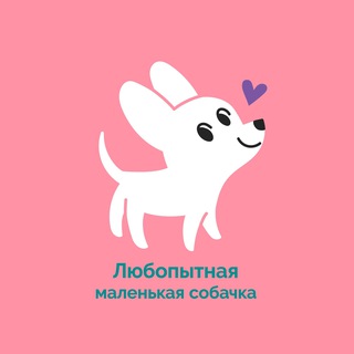 Любопытная маленькая собачка