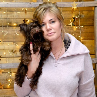 Молина Юлия - Цветные Йорки