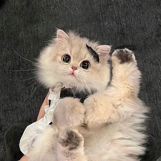 Кто рассыпал крошки