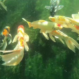 🎐 ₊ ⌛ ꕀ Ⲩюⲧⲏⲟⲉ ⲙⲉⲥⲧⲟ ₊ 🧺 !! ︵ 📎𓈒 !!